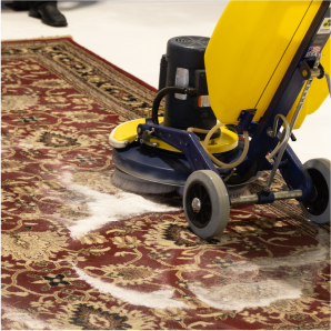 Rotary machine cleaning a rug