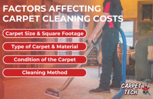 infographic showing factors affecting carpet cleaning costs