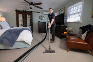 professional carpet cleaning