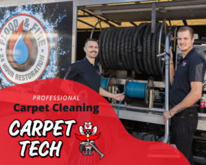 professional carpet cleaning. carpet tech