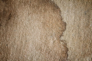 The texture of old dirty doormat with stain