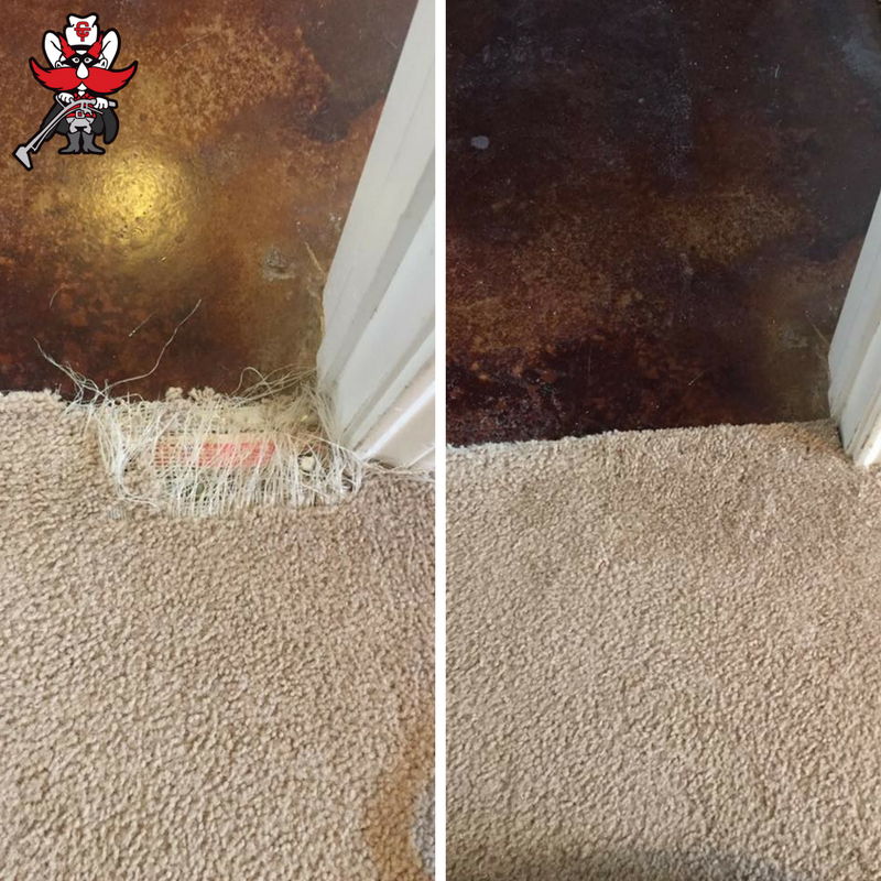 Albuquerque Carpet Patch Repair Service