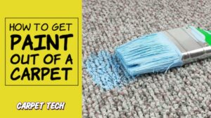 how to get paint out of a carpet cover image