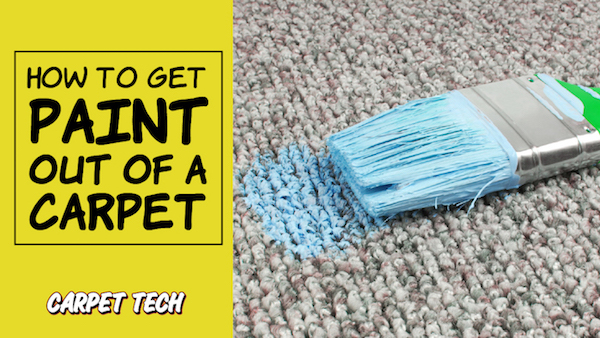 How To Remove Paint From Carpet And Sofa