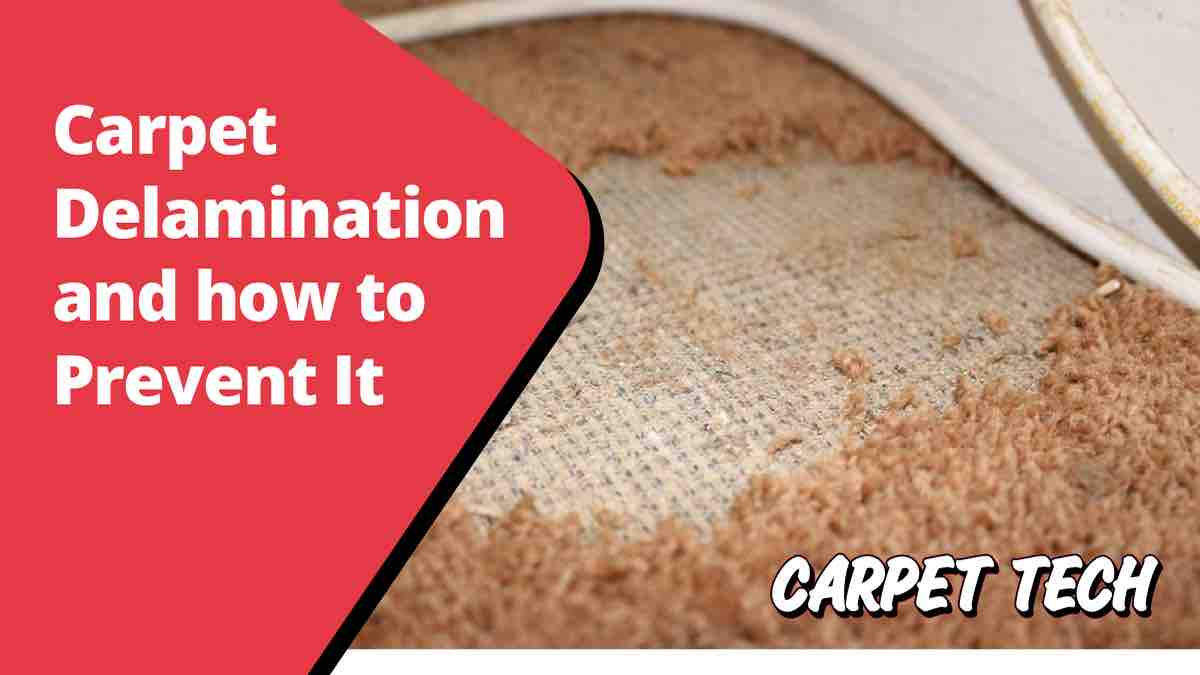 The Easiest Ways to Fix a Rug With a Deteriorating Latex Backing