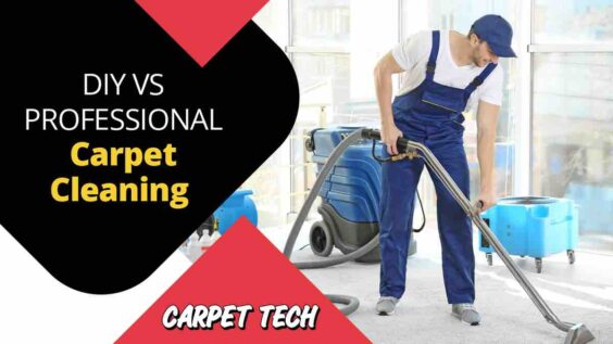 DIY Vs. Professional Carpet Cleaning - Carpet Tech