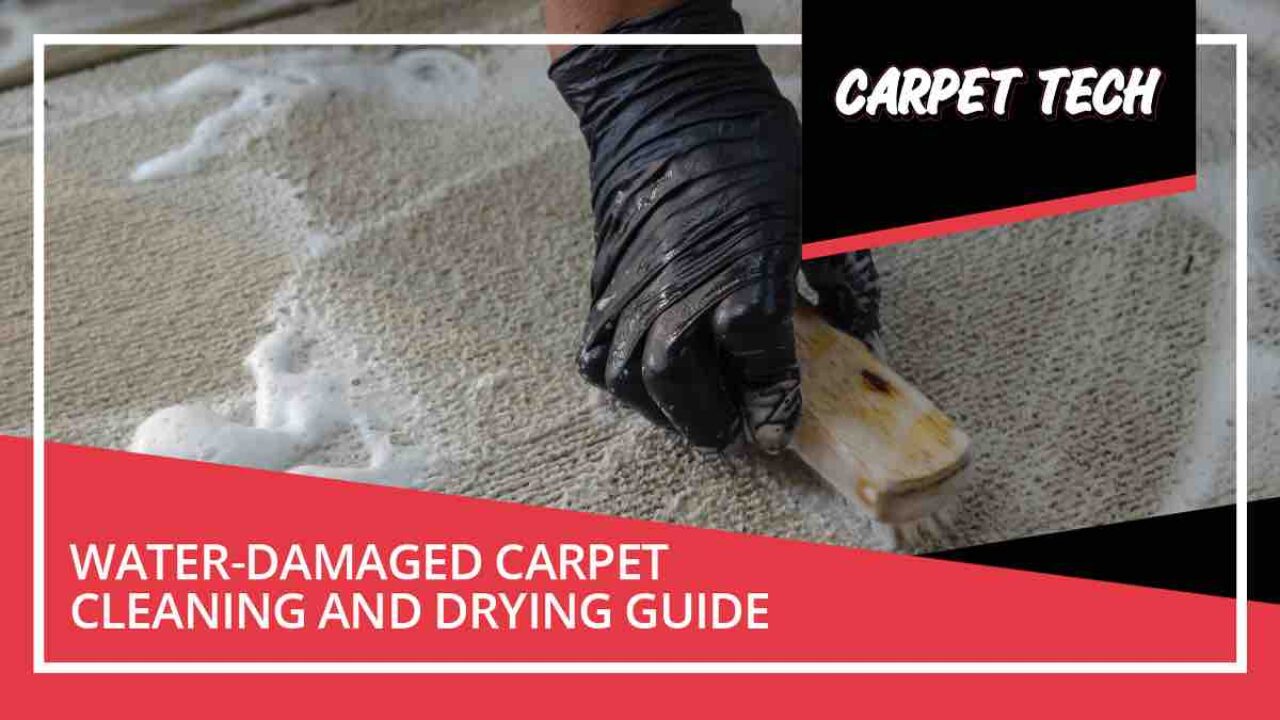 How To Dry A Wet Carpet Home Interior Design