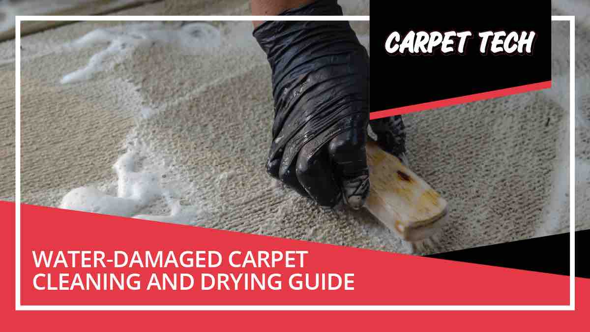 What Happens If You Put Furniture On Wet Carpet?