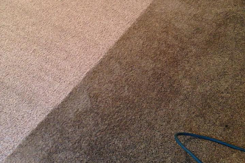 Before and after carpet cleaning1