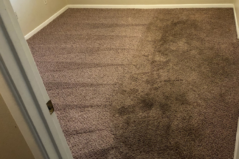 Before and after carpet cleaning2
