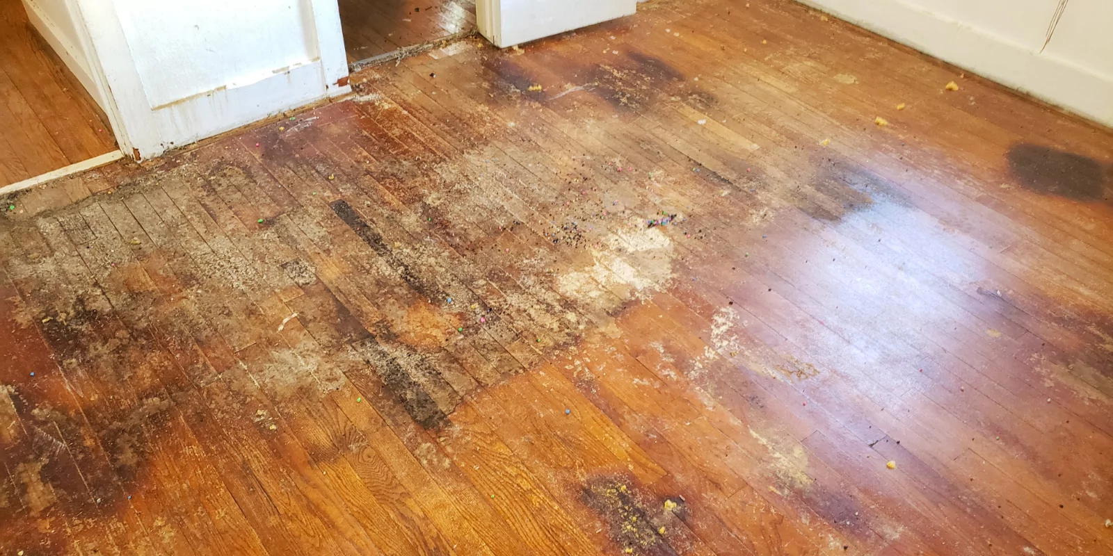 DIY Vs. Professional Carpet Repair: Which Option Is Right For You