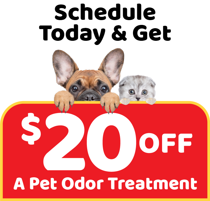 Schedule today and get $20 off a pet odor treatment